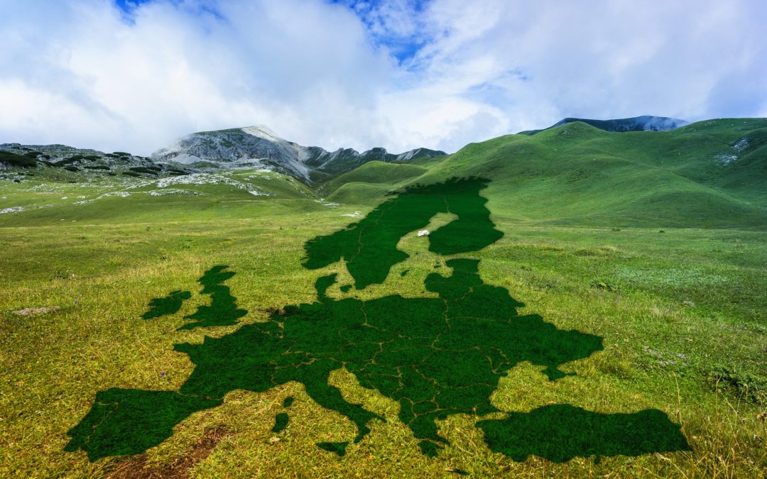 Consultations sur le Pacte vert pour l&rsquo;Europe