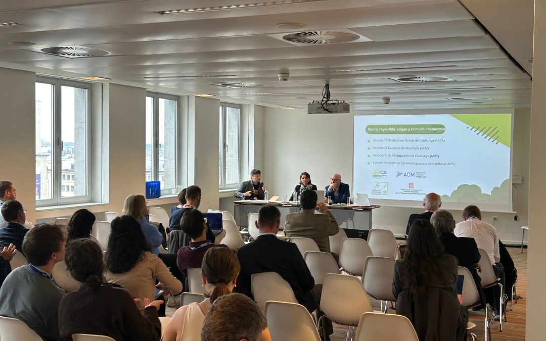 Integrated territorial development for a stronger future for European rural communities – Workshop during the Week of Regions and Cities – October 2025